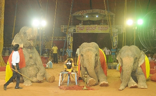 Prabhat circus, bantwal